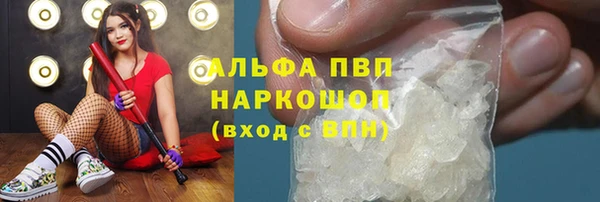 мяу мяу мука Аркадак