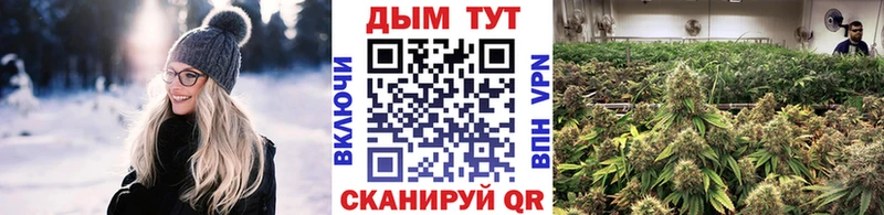 OMG вход  Тавда  Каннабис планчик 